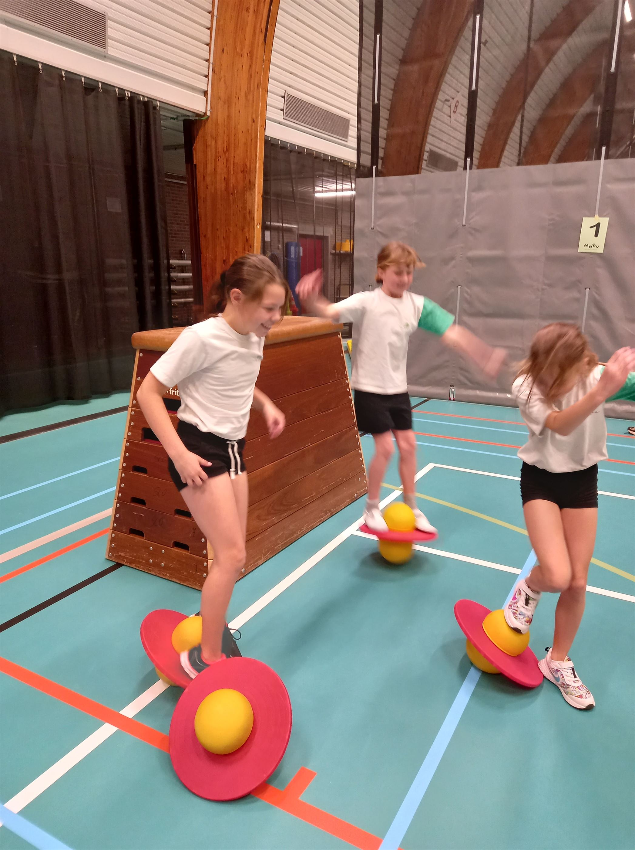 Alles met de bal 3de en 4de leerjaar 