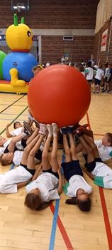 Kronkeldidoe 1ste graad