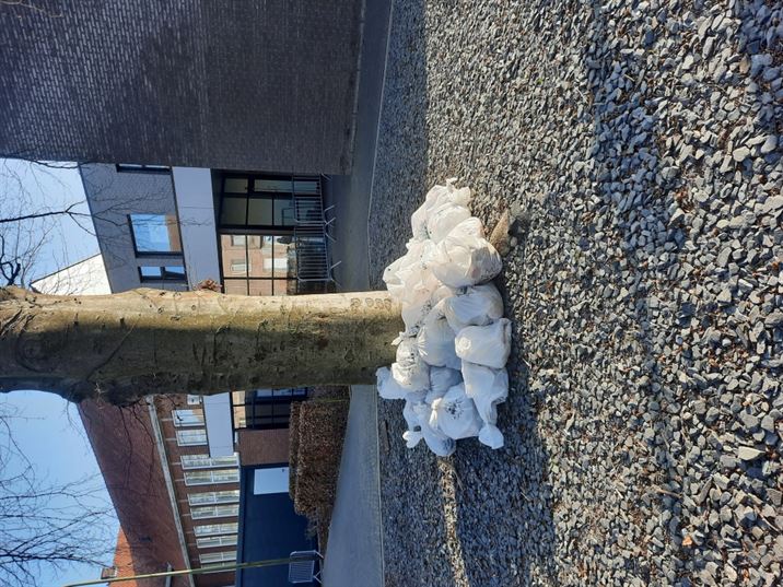 Zwerfvuilactie door het zesde leerjaar