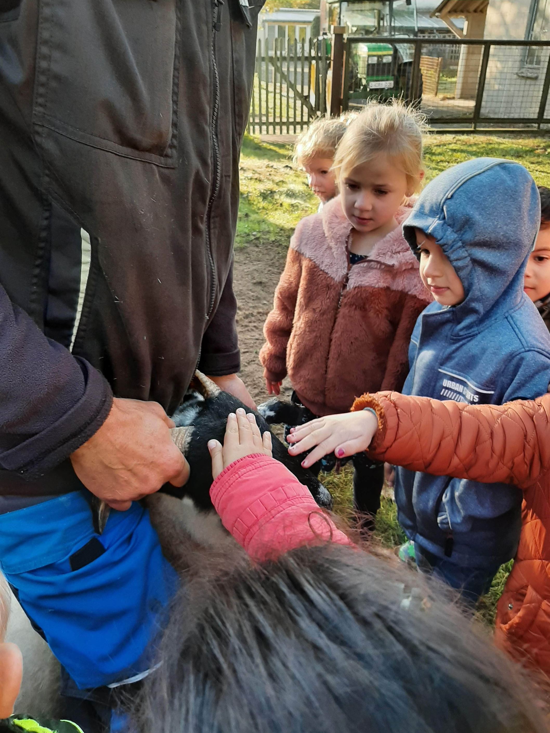 De herder en zijn schaapjes