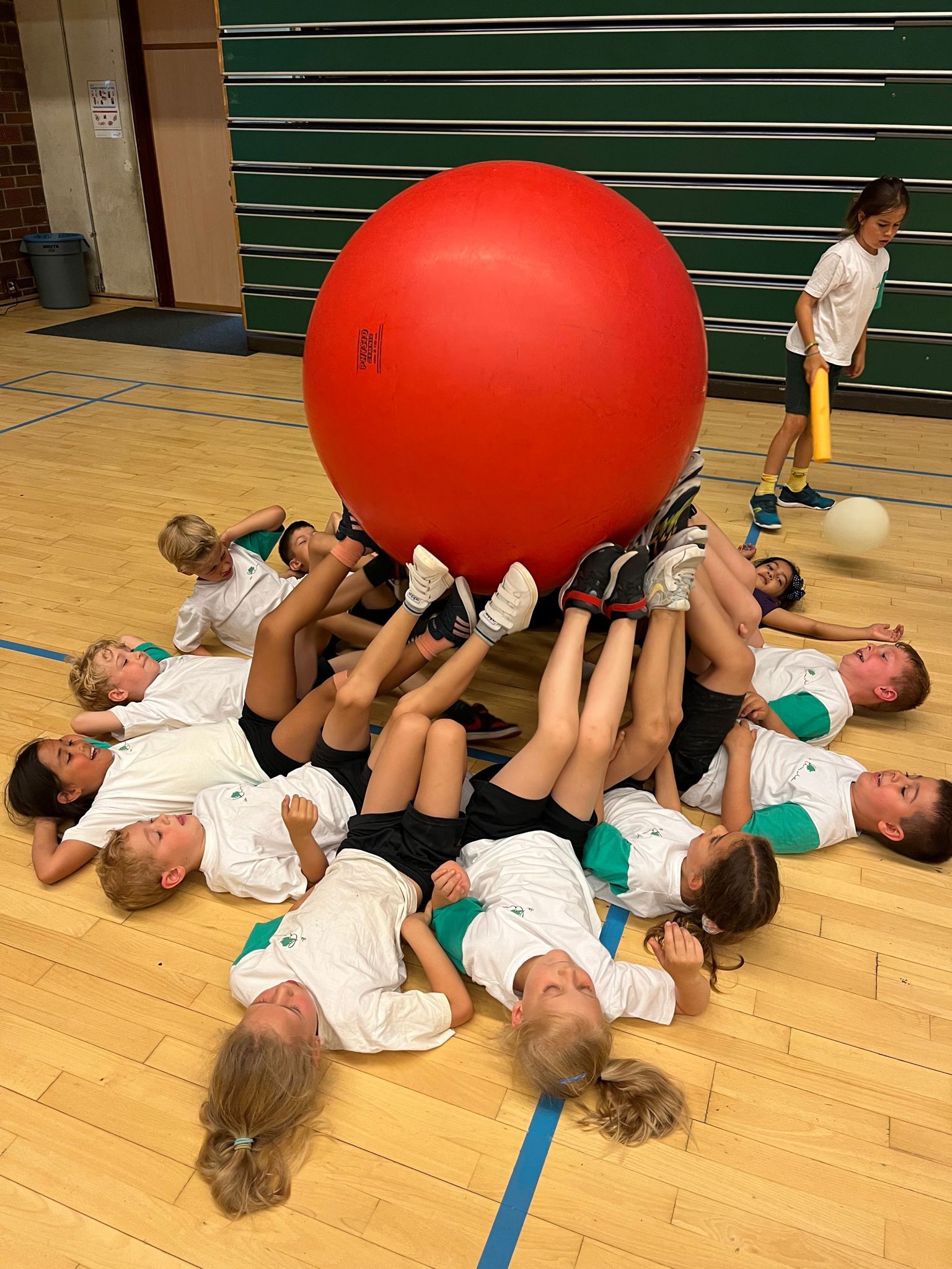 Kronkeldidoe L1 en L2