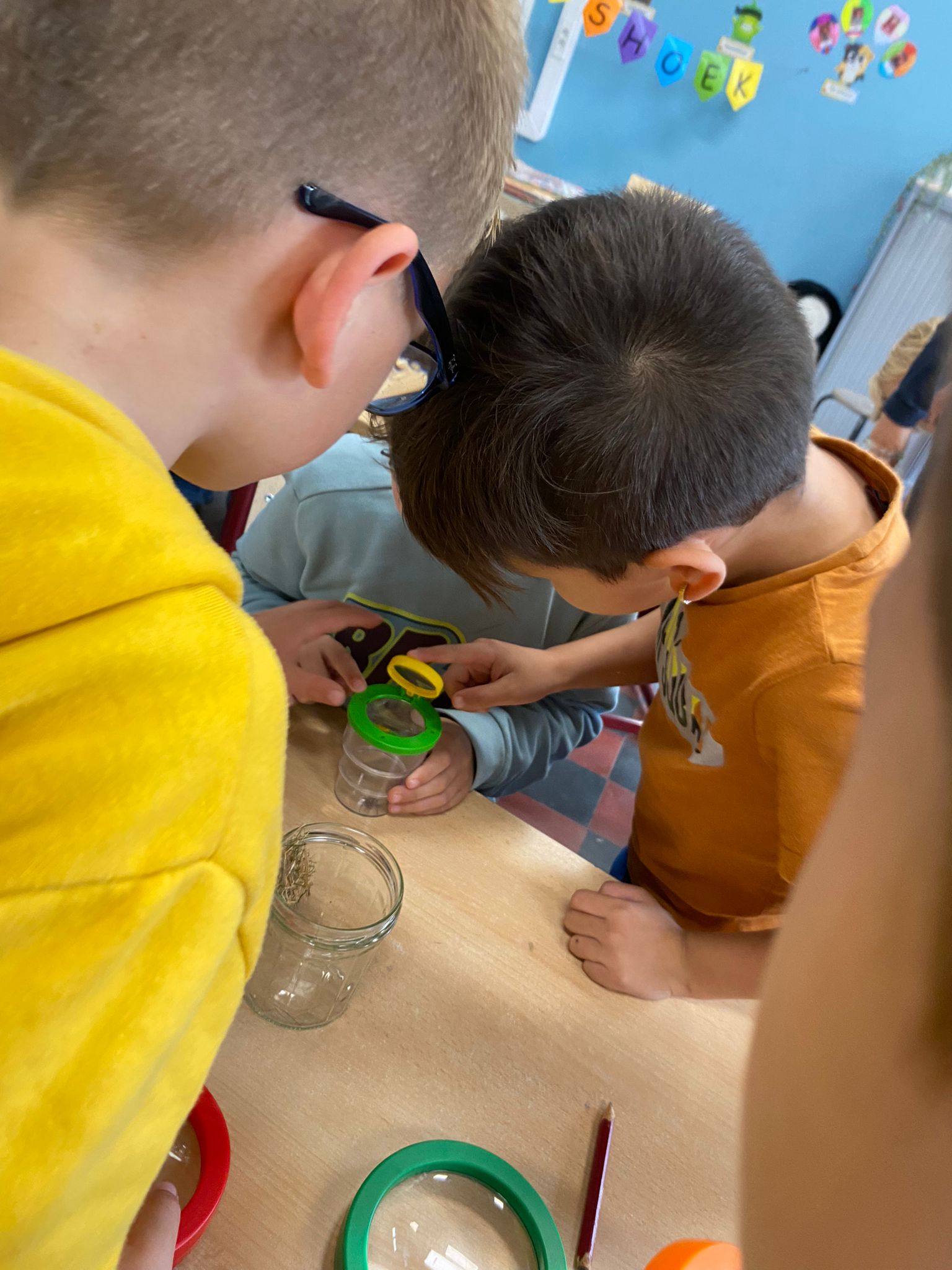 Spinnen onderzoeken in 2LA