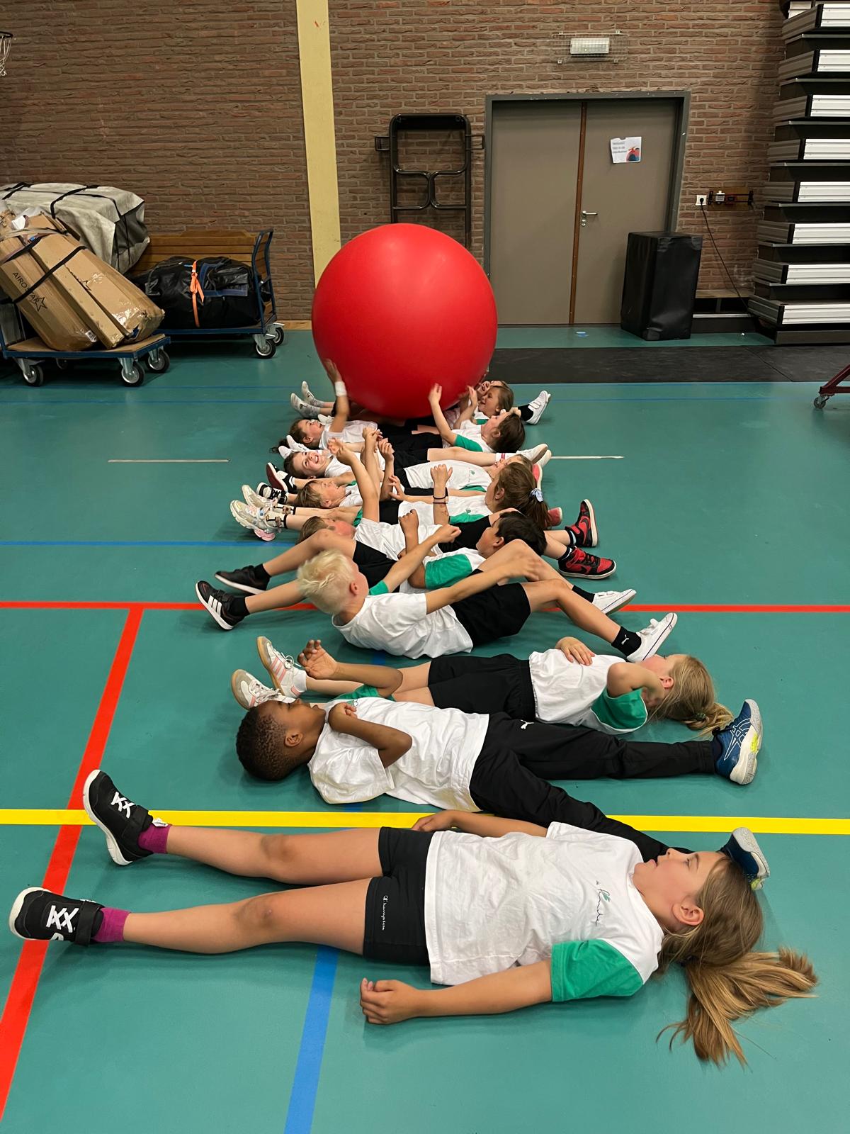 Kronkeldidoe eerste graad