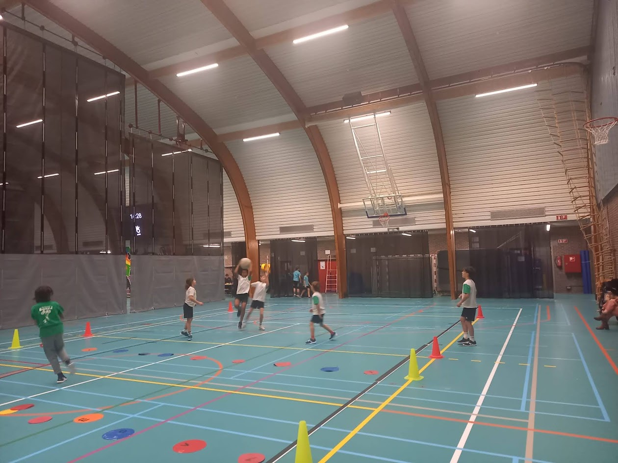 kinderen spelen krachtbal